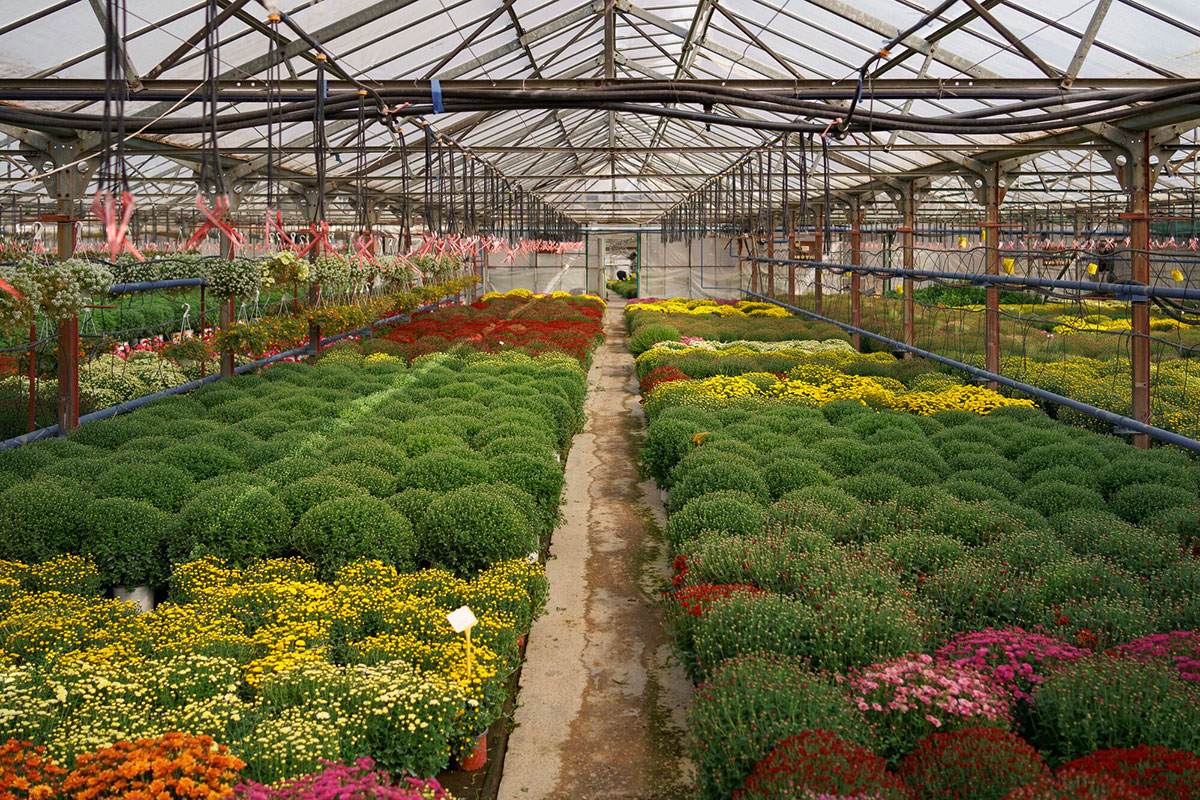 You are currently viewing POEC Ouvrier Horticole/Pépiniériste