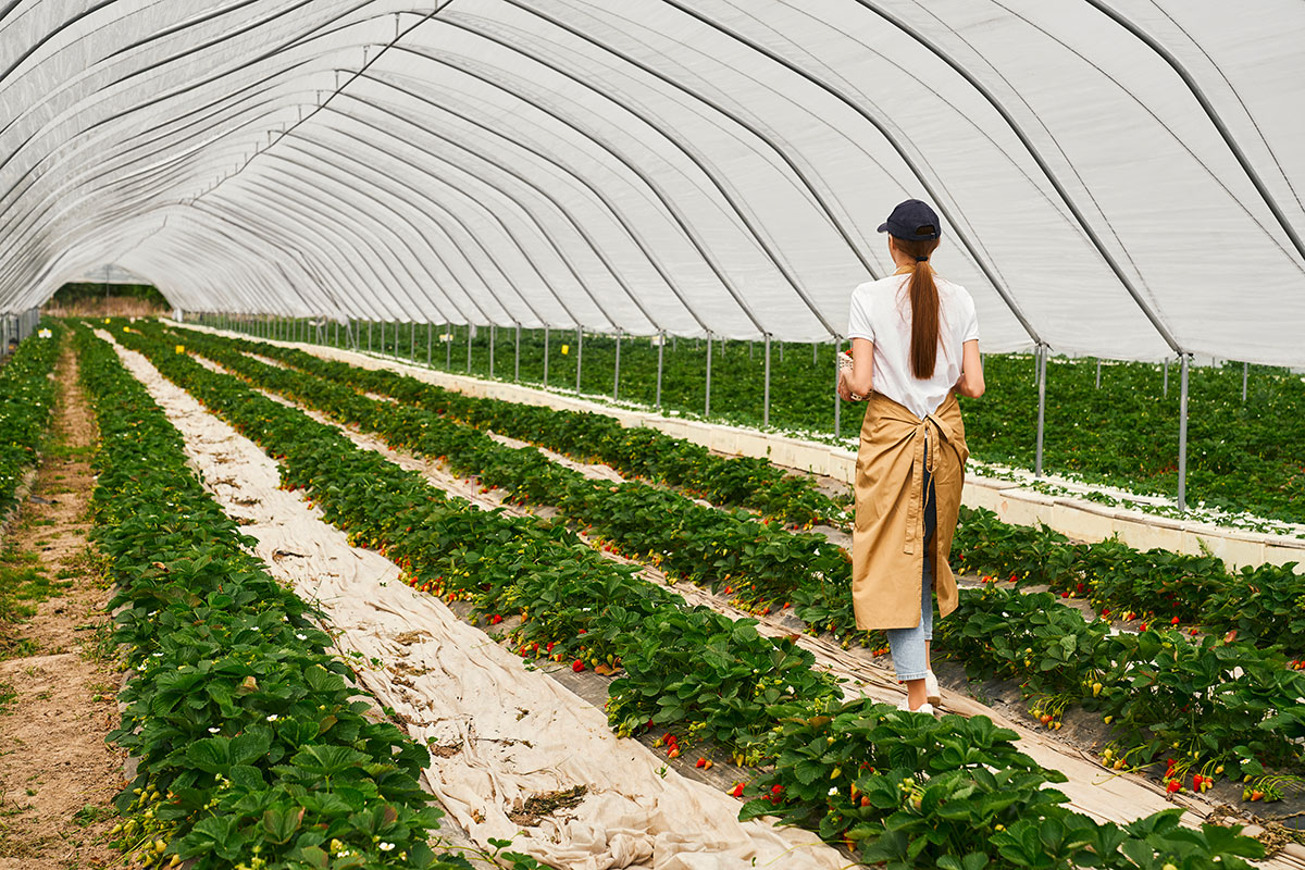 You are currently viewing BTSa Métiers du Végétal : Alimentation, Ornement et Environnement